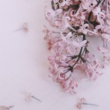 咨询师支招：如何避免过度卷入他人的情绪？ - 张伟