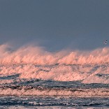 既然离不开，那就好好在一起 - 王宇赤